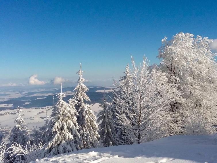 Feriendorf Am Hohen Bogen Haus 98 Eg Arrach Buitenkant foto